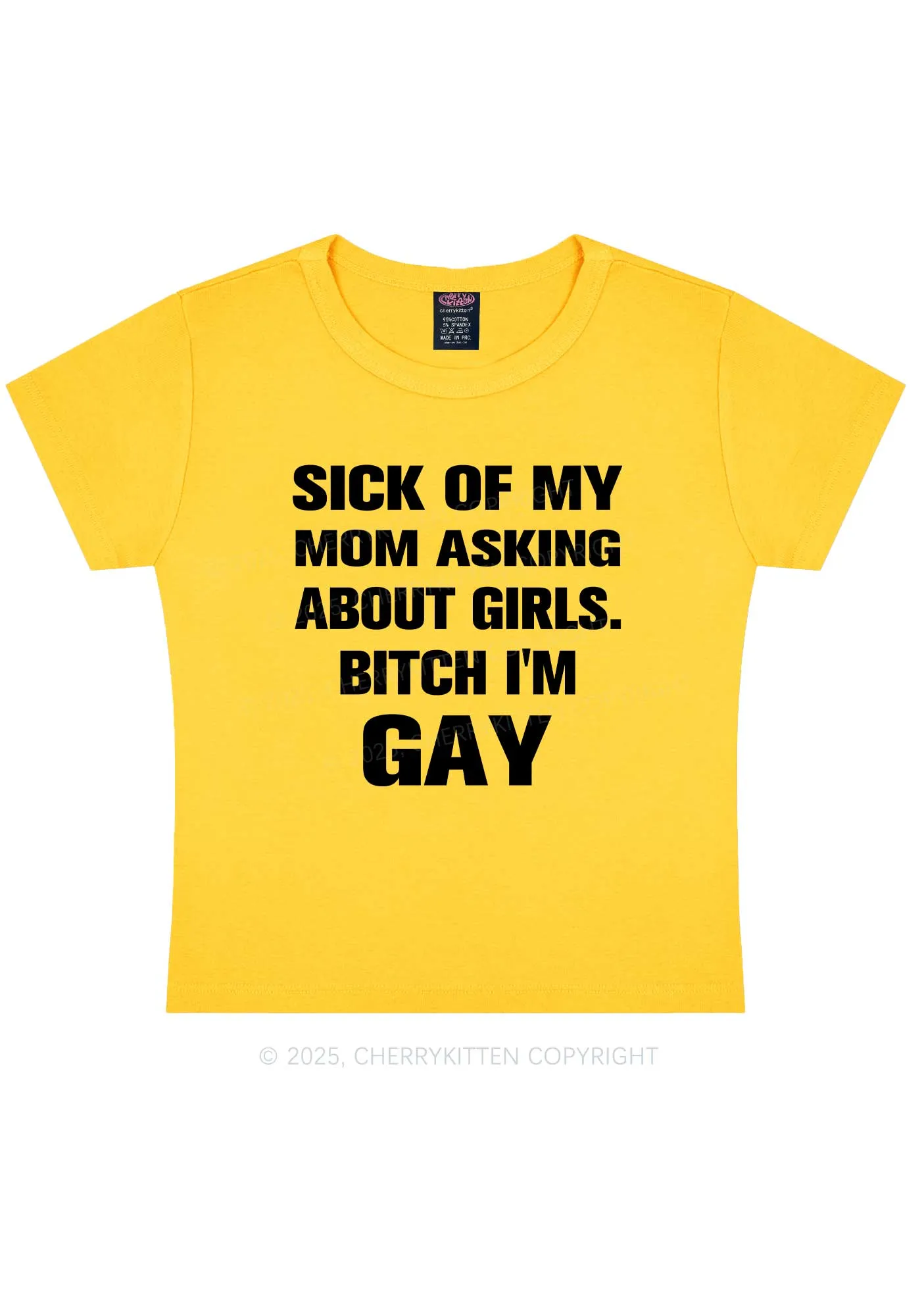 Bxxch Im Gay Pride Y2K Baby Tee Cherrykitten